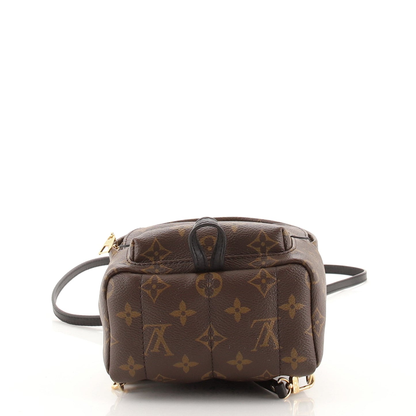 Palm Springs Backpack Monogram Canvas Mini