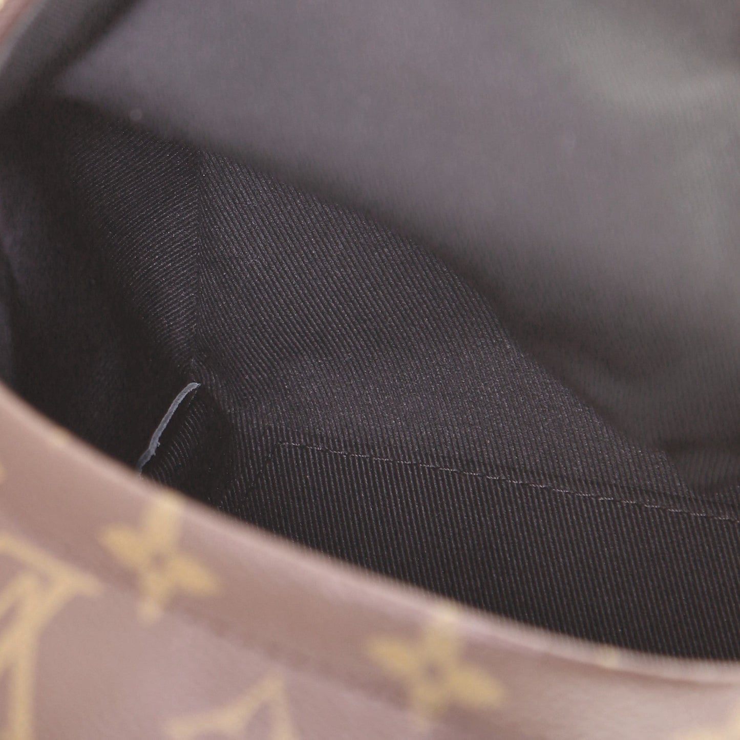 Palm Springs Backpack Monogram Canvas Mini