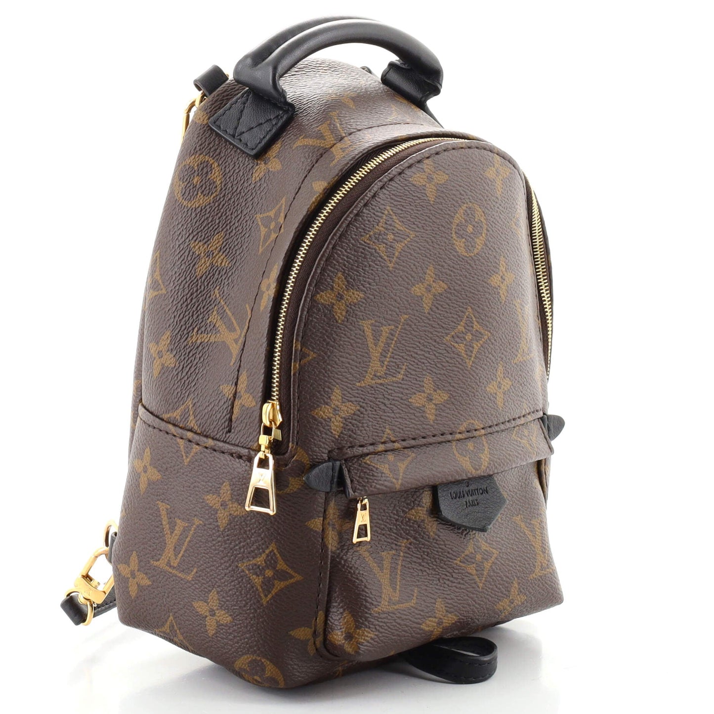 Palm Springs Backpack Monogram Canvas Mini