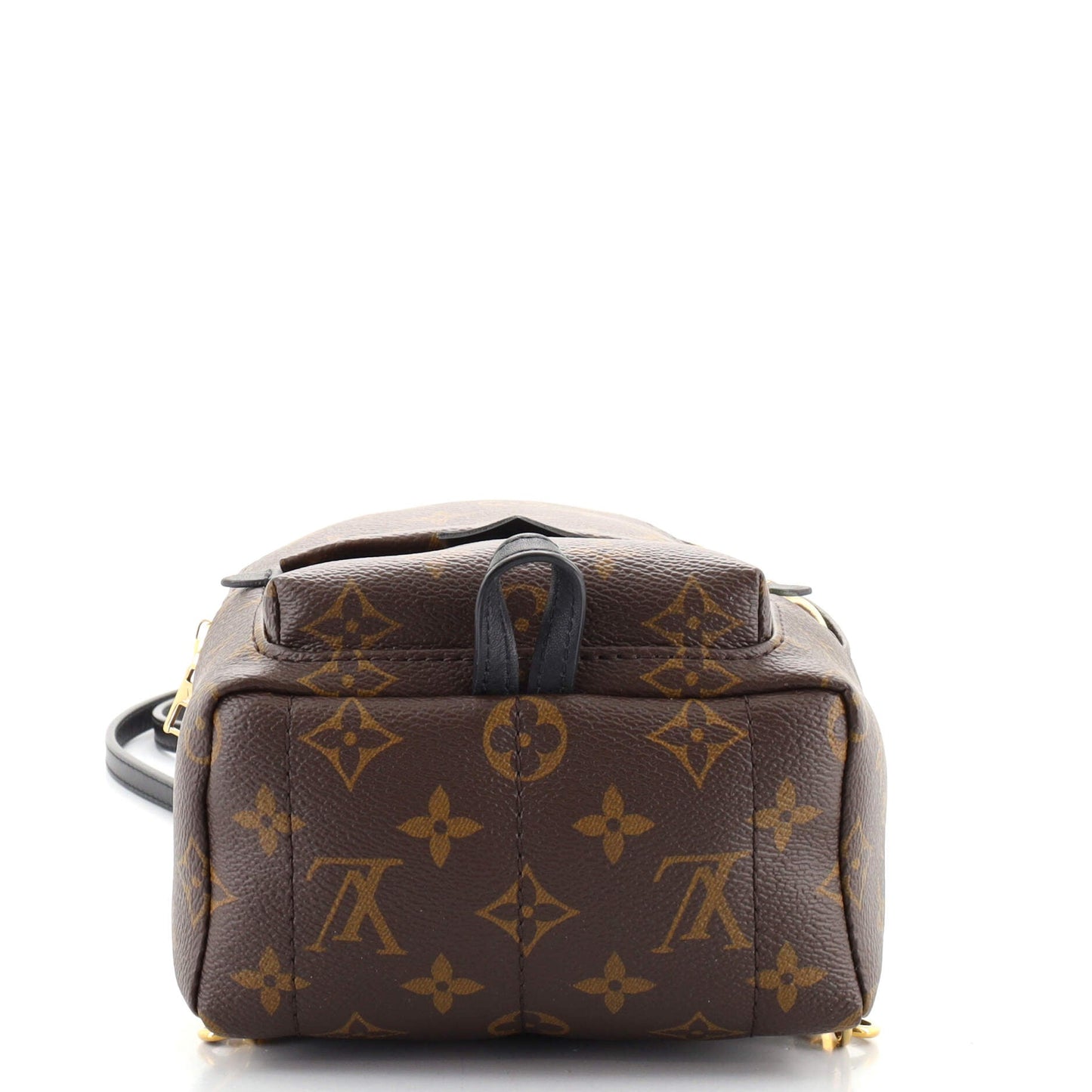 Palm Springs Backpack Monogram Canvas Mini