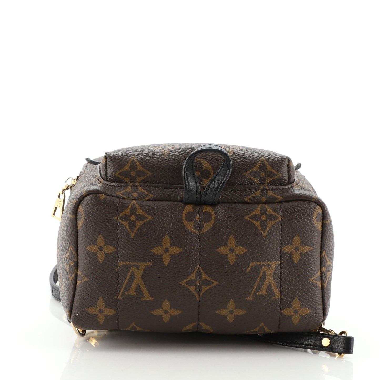 Palm Springs Backpack Monogram Canvas Mini