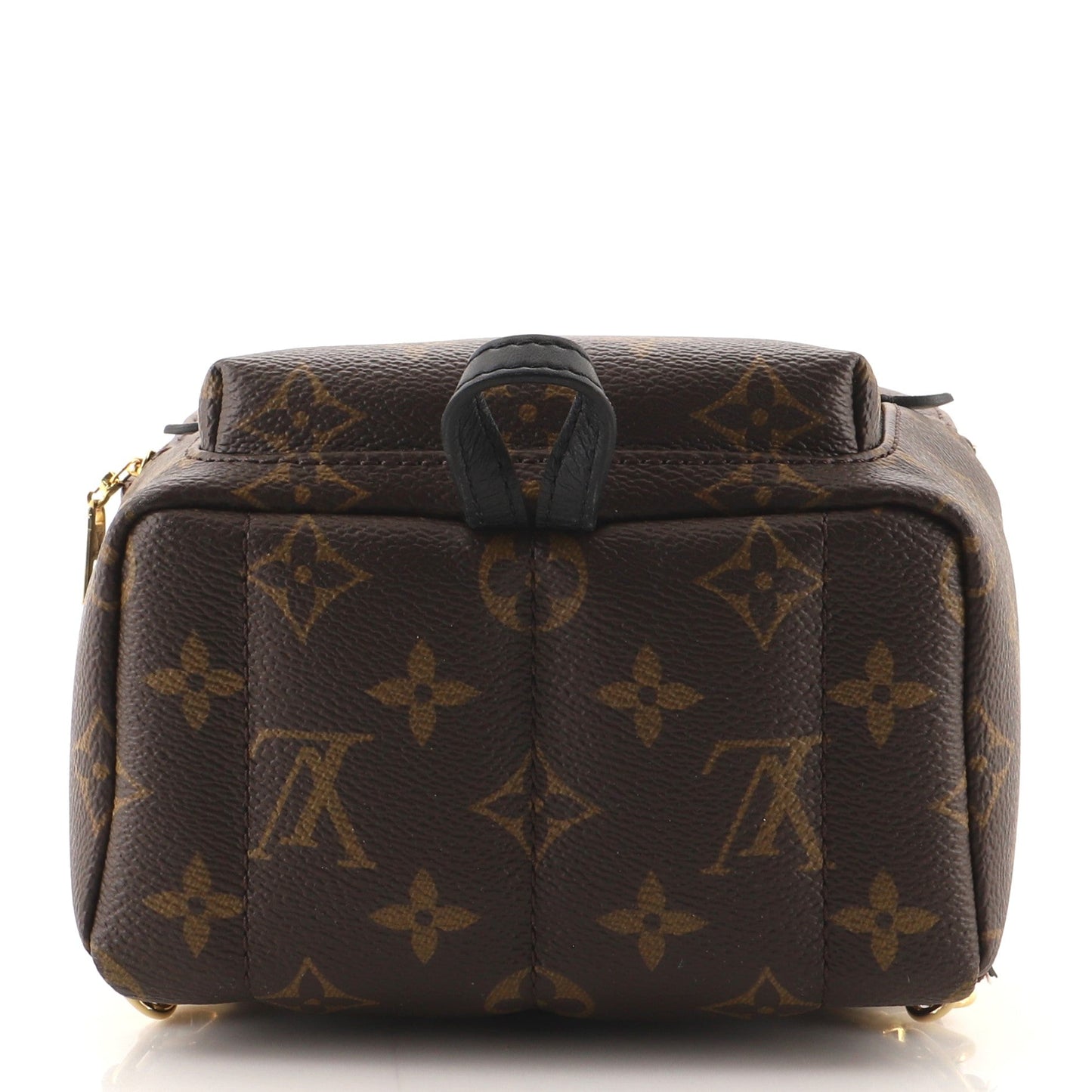 Palm Springs Backpack Monogram Canvas Mini