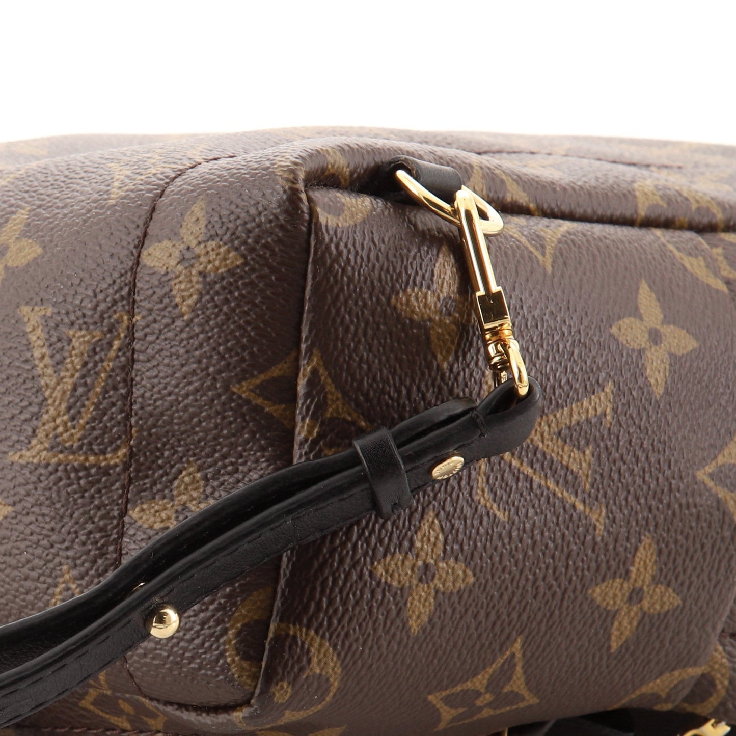 Palm Springs Backpack Monogram Canvas Mini