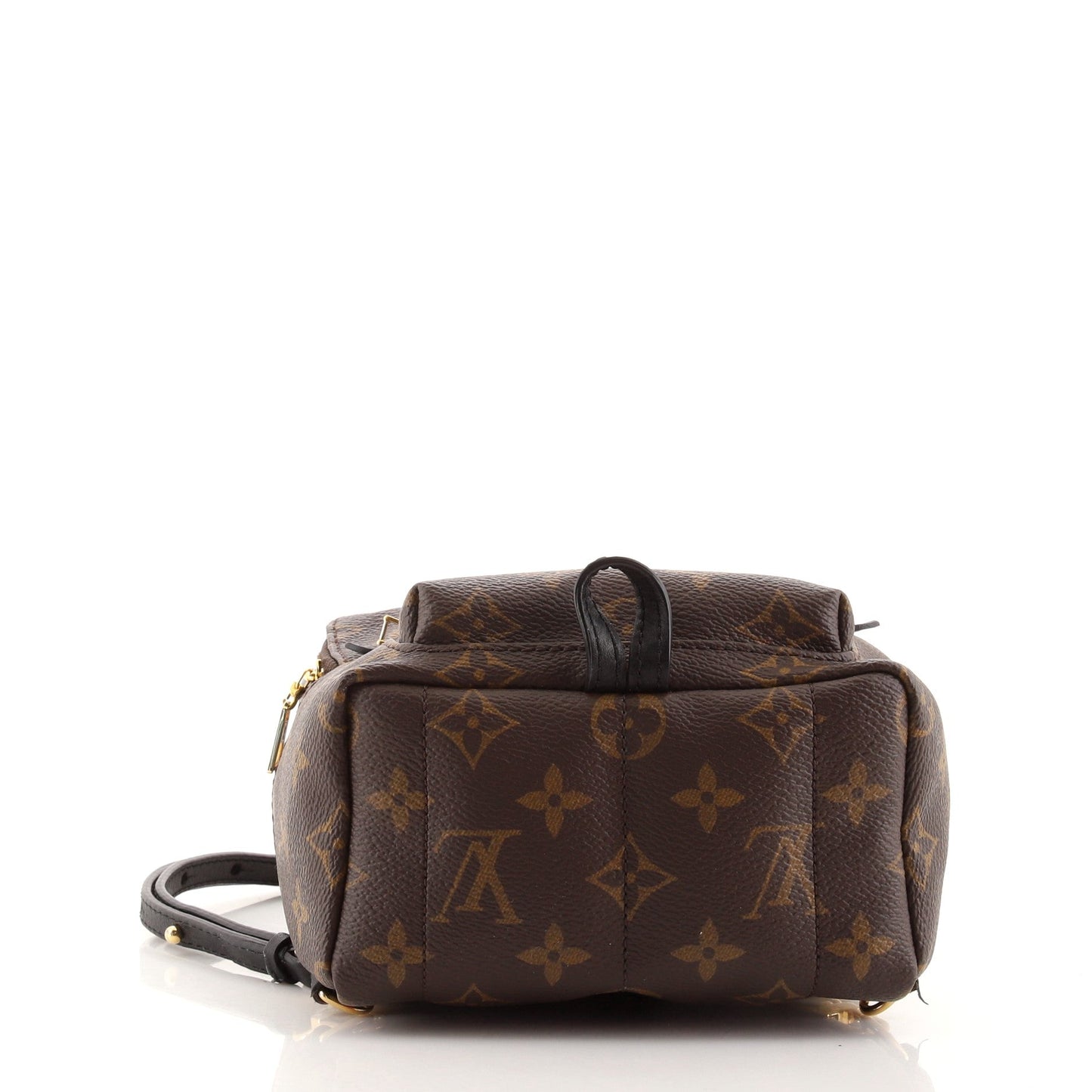 Palm Springs Backpack Monogram Canvas Mini