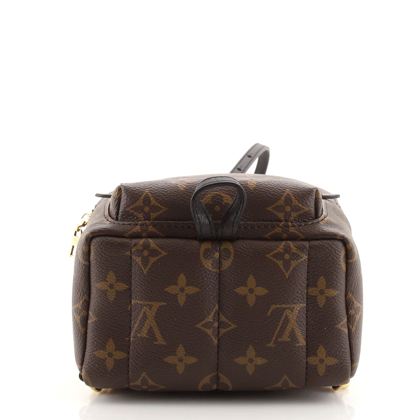Palm Springs Backpack Monogram Canvas Mini