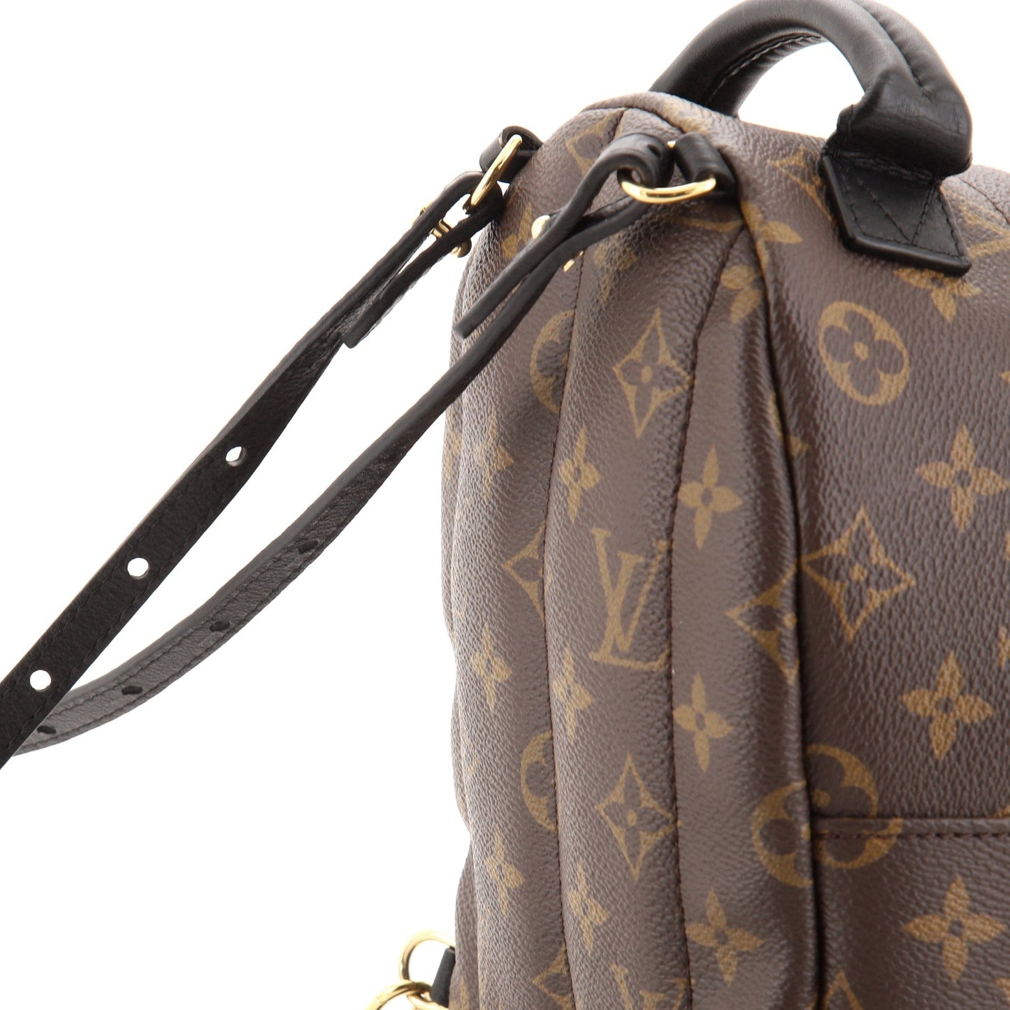 Palm Springs Backpack Monogram Canvas Mini