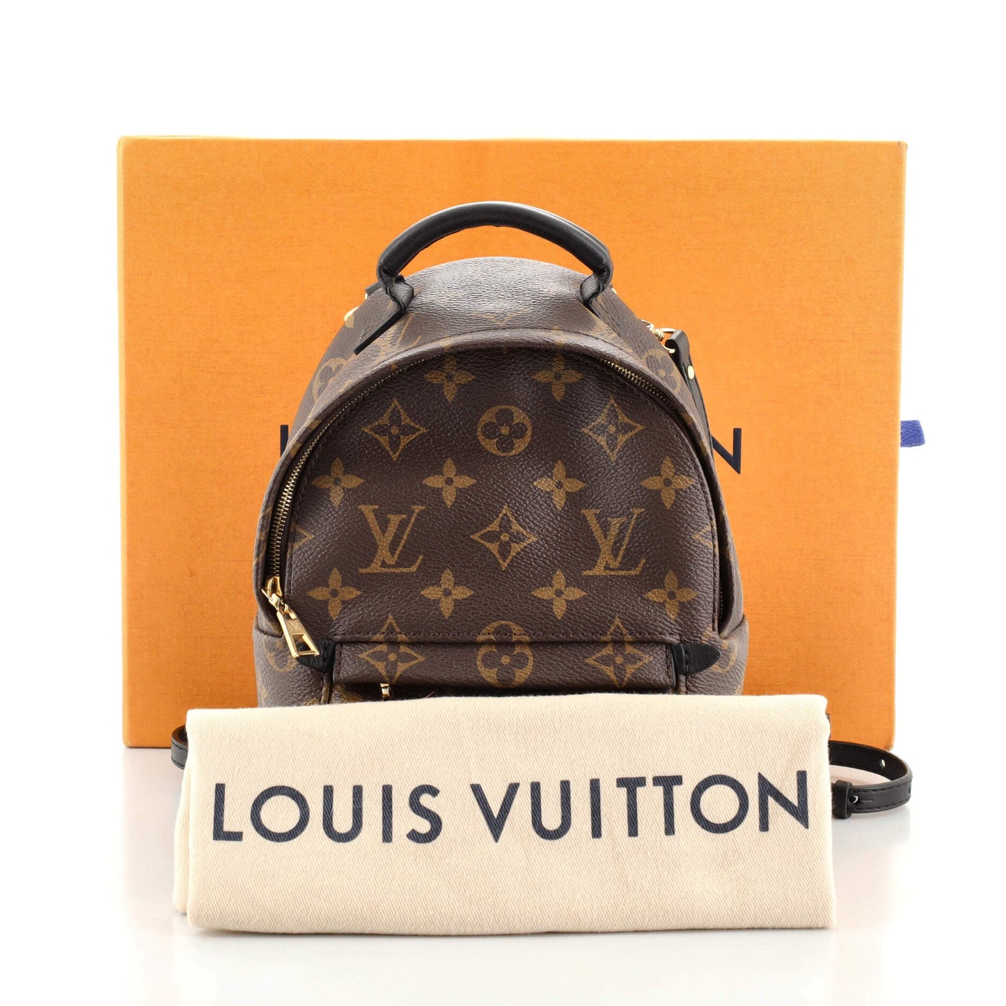 Palm Springs Backpack Monogram Canvas Mini