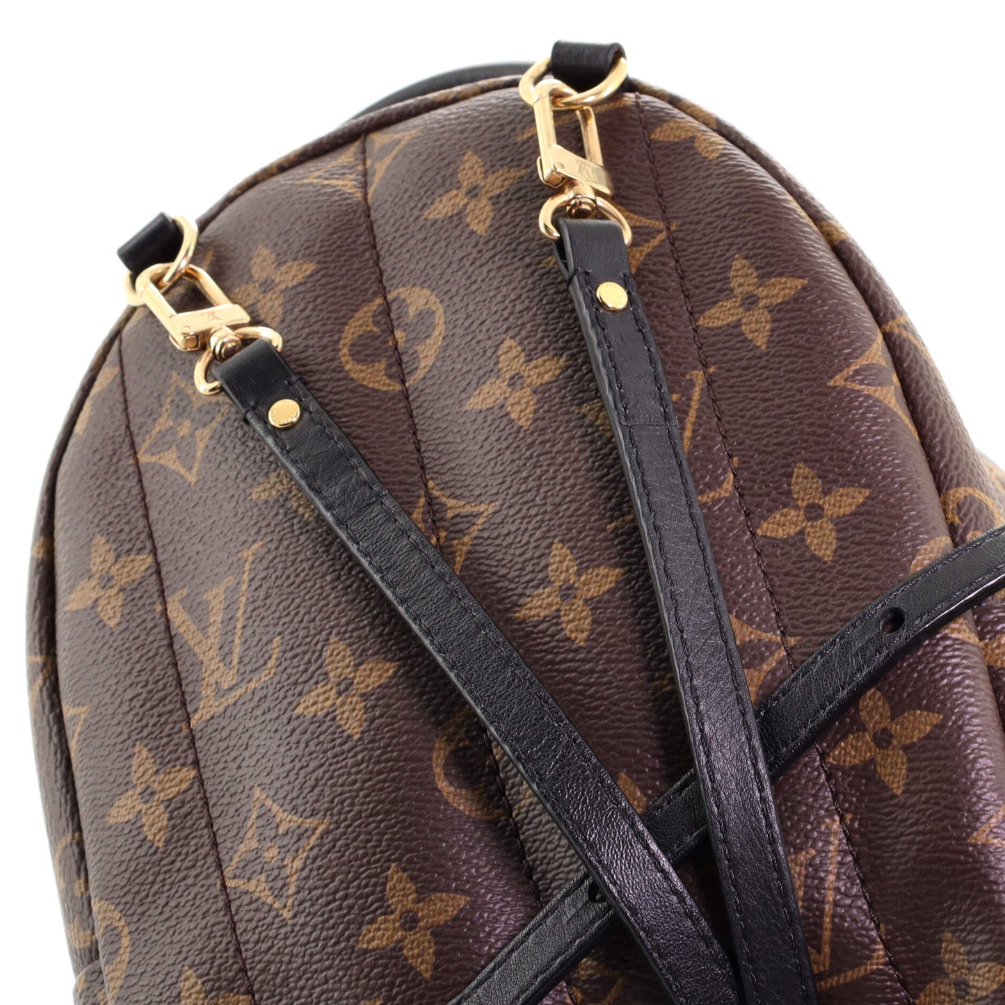 Palm Springs Backpack Monogram Canvas Mini
