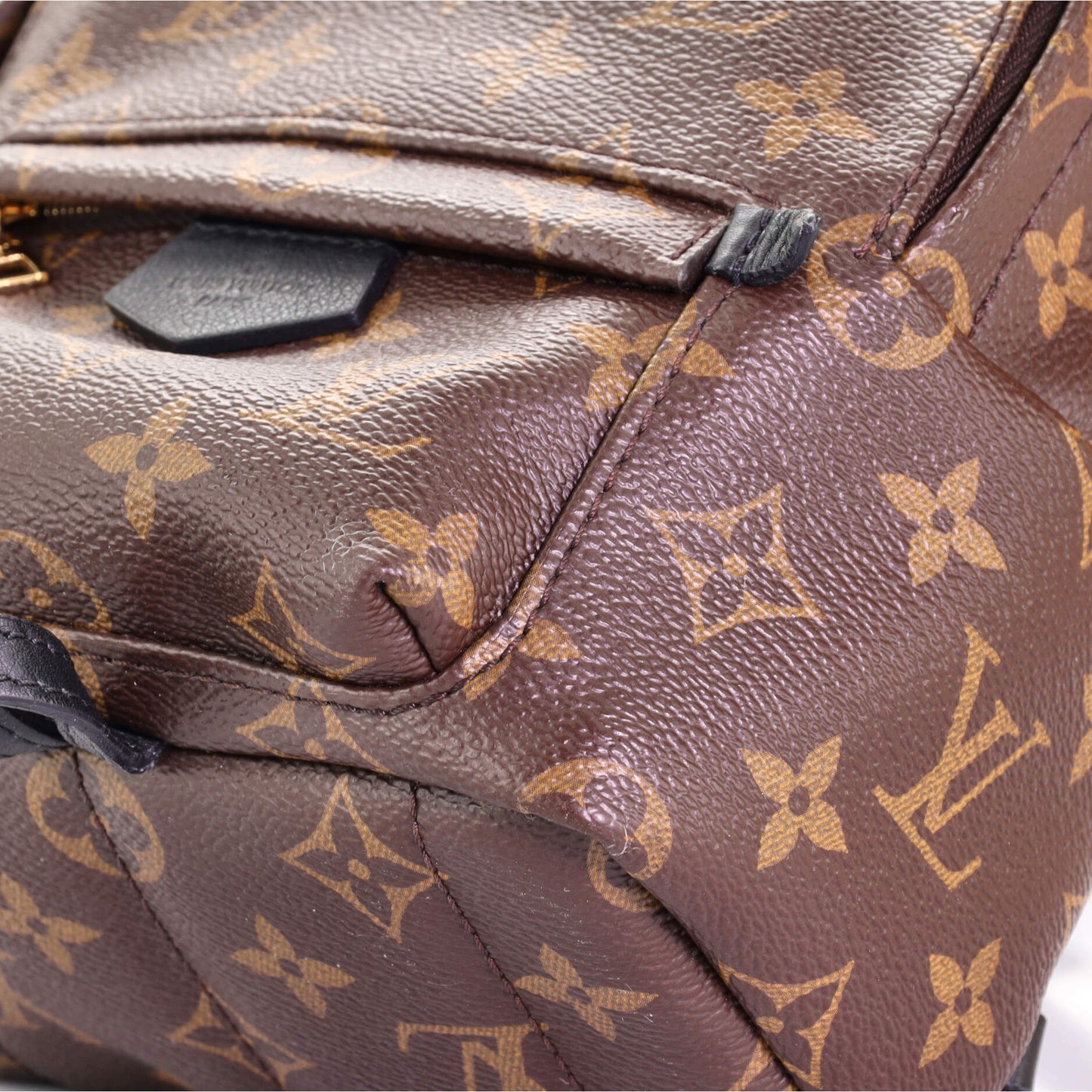 Palm Springs Backpack Monogram Canvas Mini