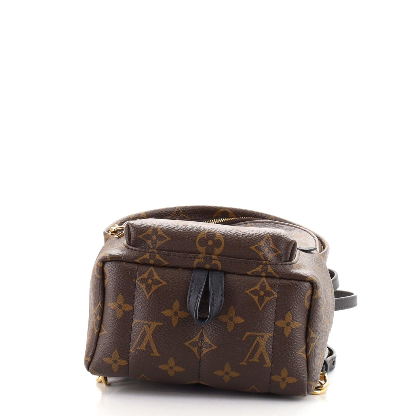 Palm Springs Backpack Monogram Canvas Mini