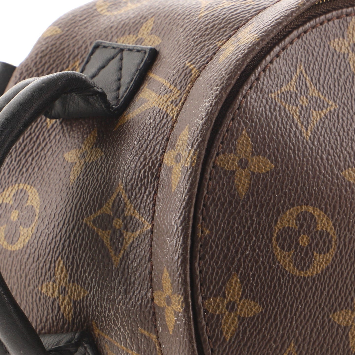 Palm Springs Backpack Monogram Canvas Mini