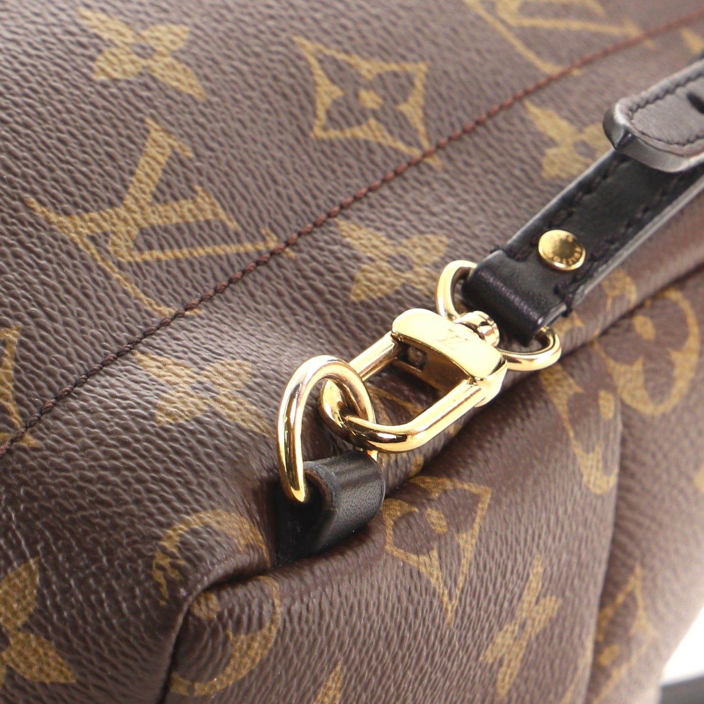 Palm Springs Backpack Monogram Canvas Mini