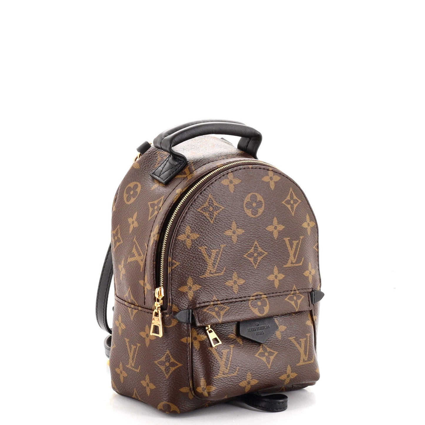Palm Springs Backpack Monogram Canvas Mini