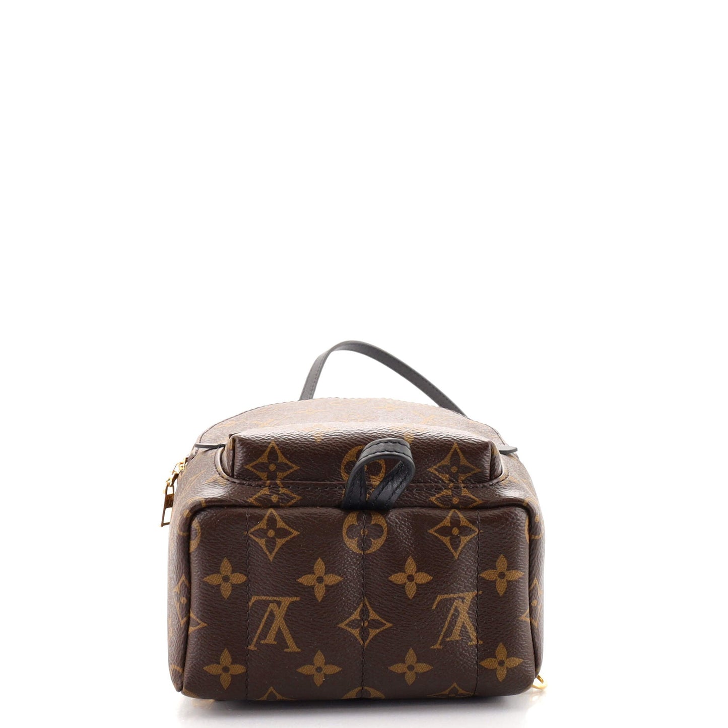 Palm Springs Backpack Monogram Canvas Mini