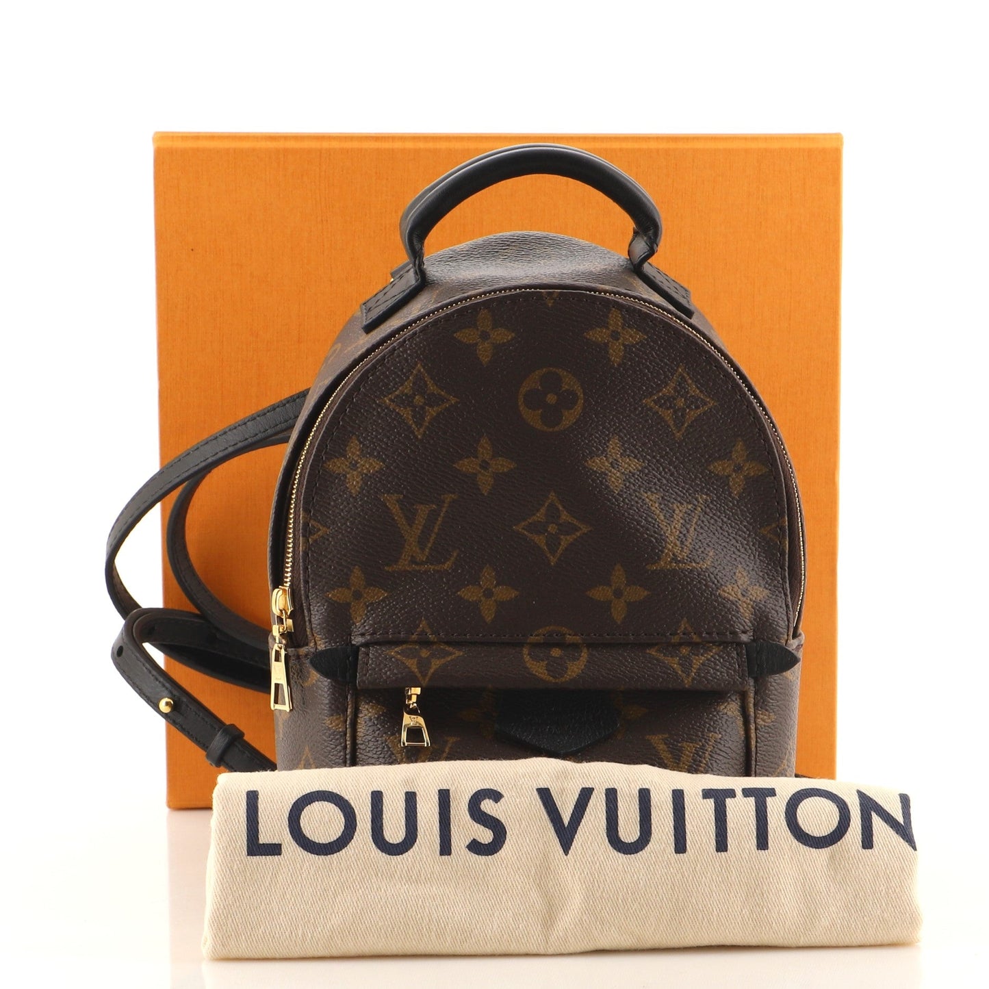 Palm Springs Backpack Monogram Canvas Mini