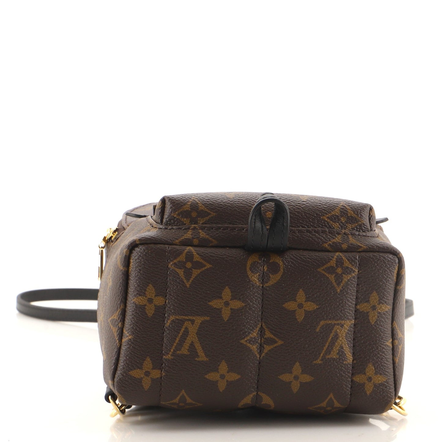 Palm Springs Backpack Monogram Canvas Mini