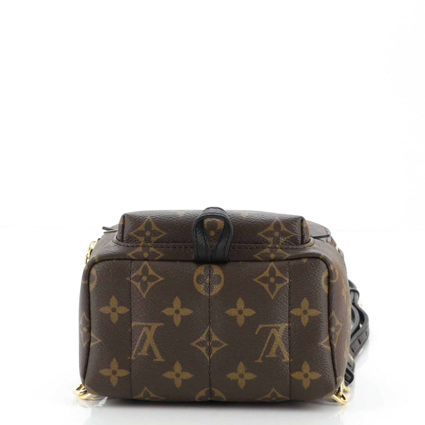 Palm Springs Backpack Monogram Canvas Mini