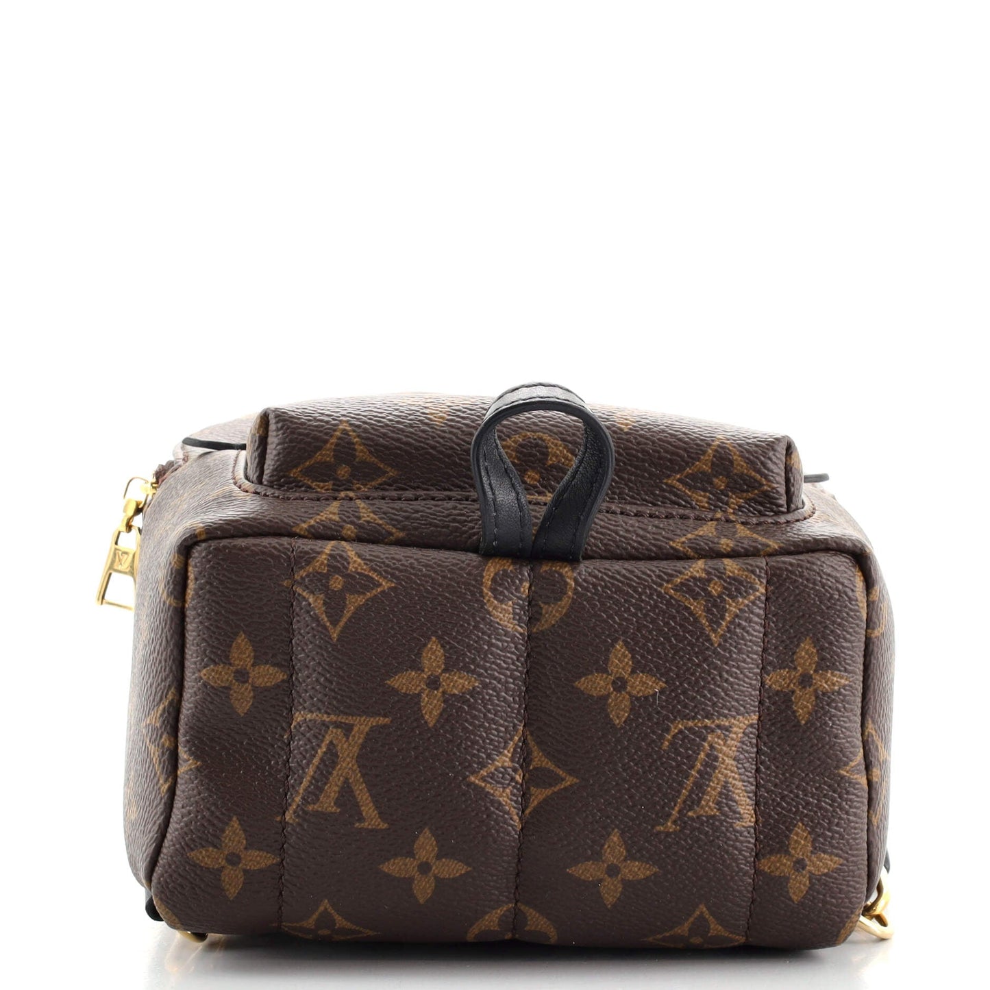 Palm Springs Backpack Monogram Canvas Mini