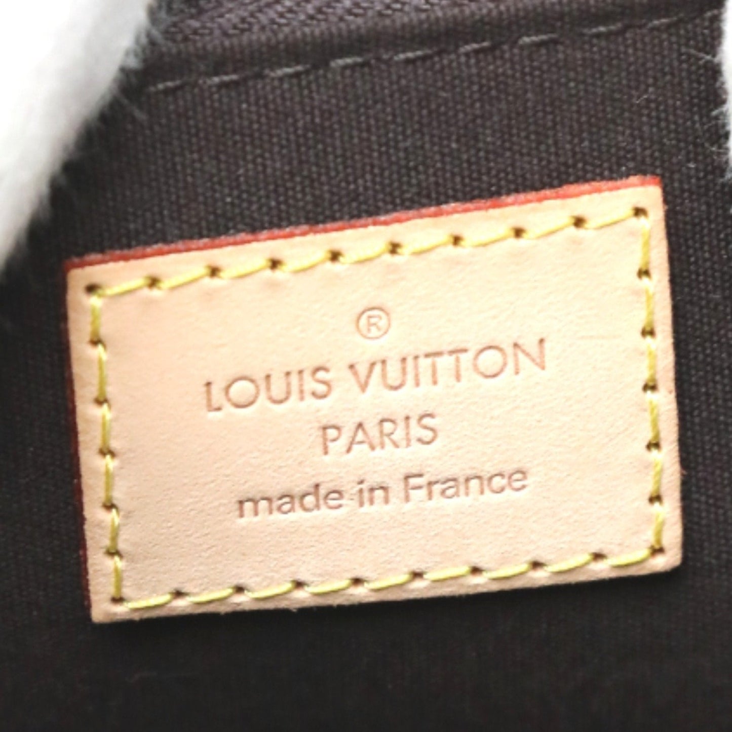 Louis Vuitton Red Canvas Bag