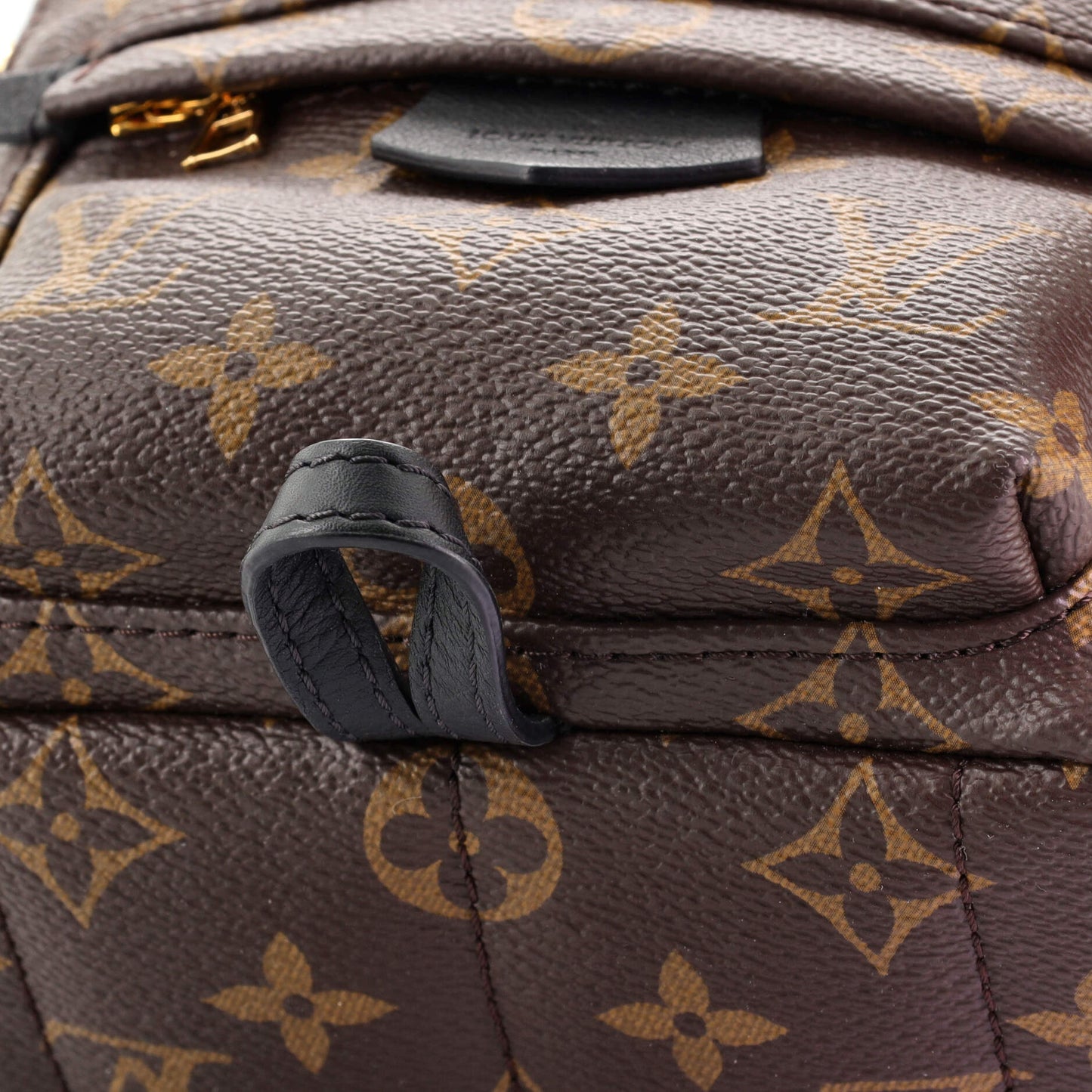 Palm Springs Backpack Monogram Canvas Mini
