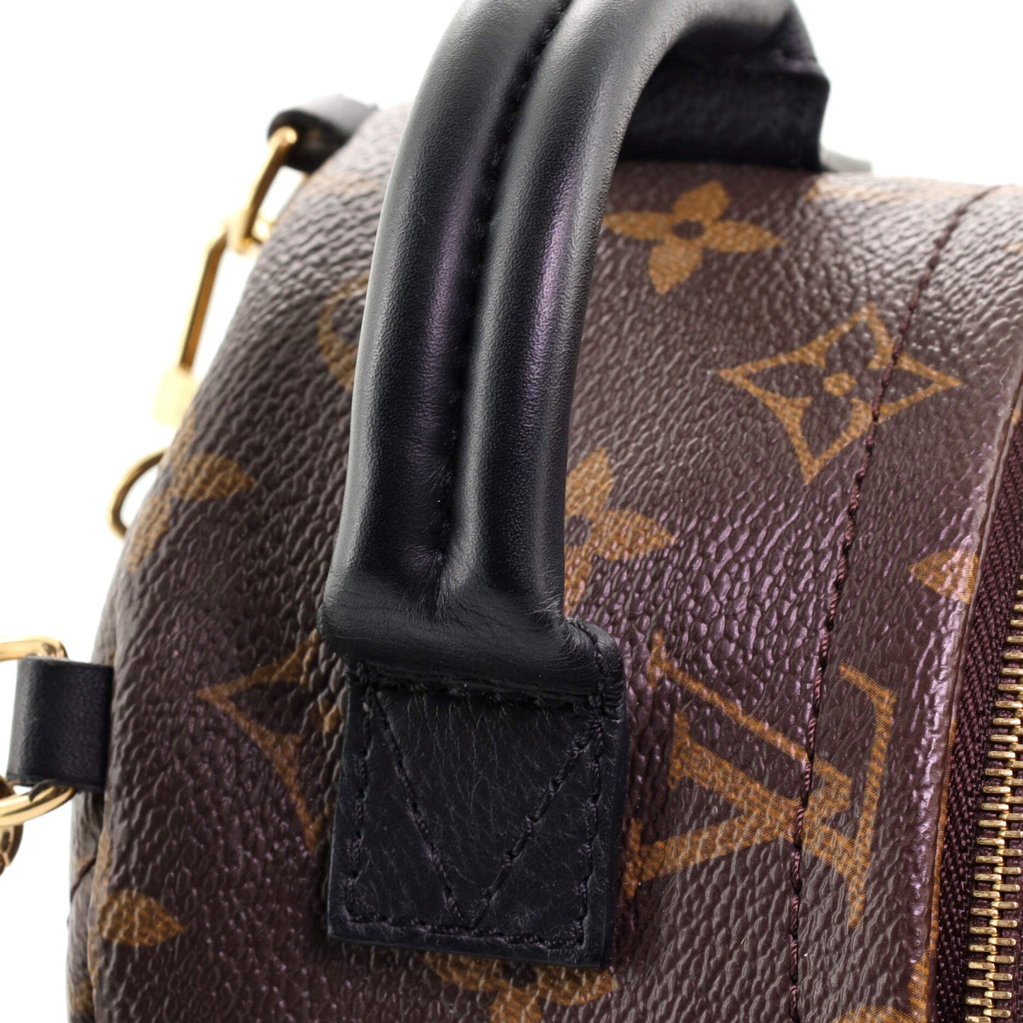 Palm Springs Backpack Monogram Canvas Mini