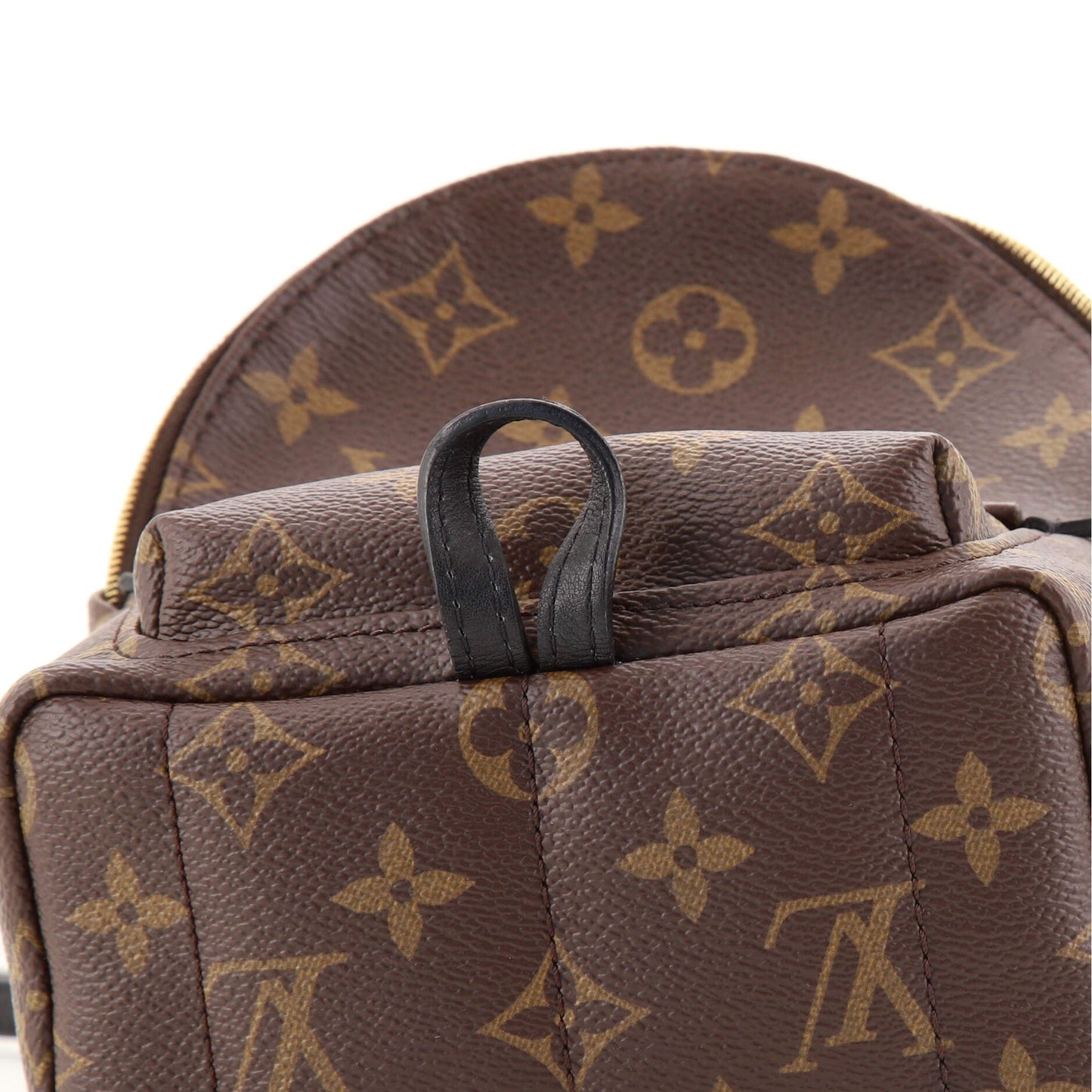 Palm Springs Backpack Monogram Canvas Mini