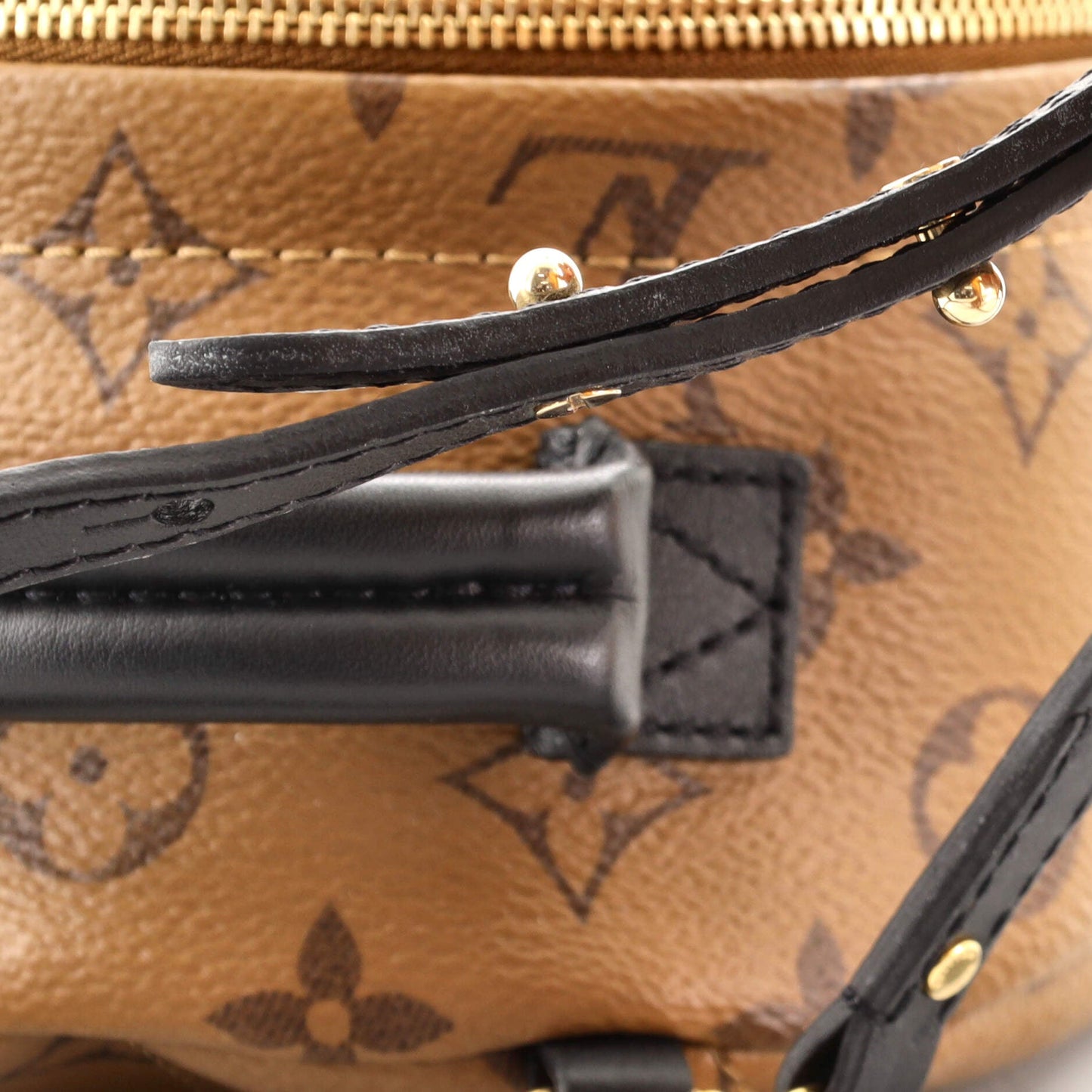 Palm Springs Backpack Reverse Monogram Canvas Mini