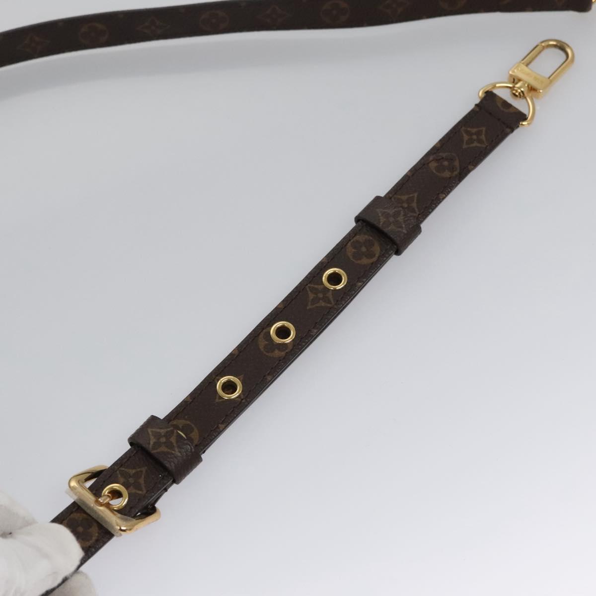 Louis Vuitton Plat Brown Canvas Bag
