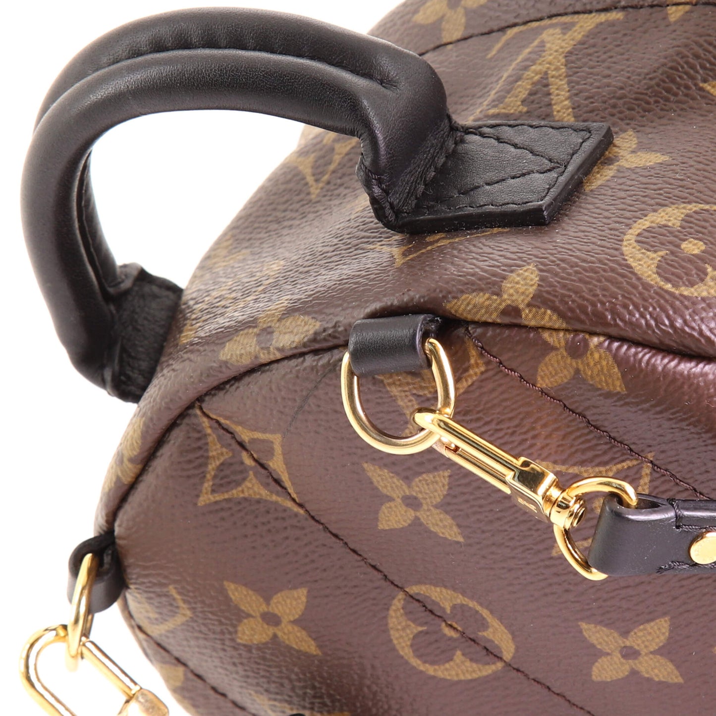 Palm Springs Backpack Limited Edition Monogram Canvas Mini