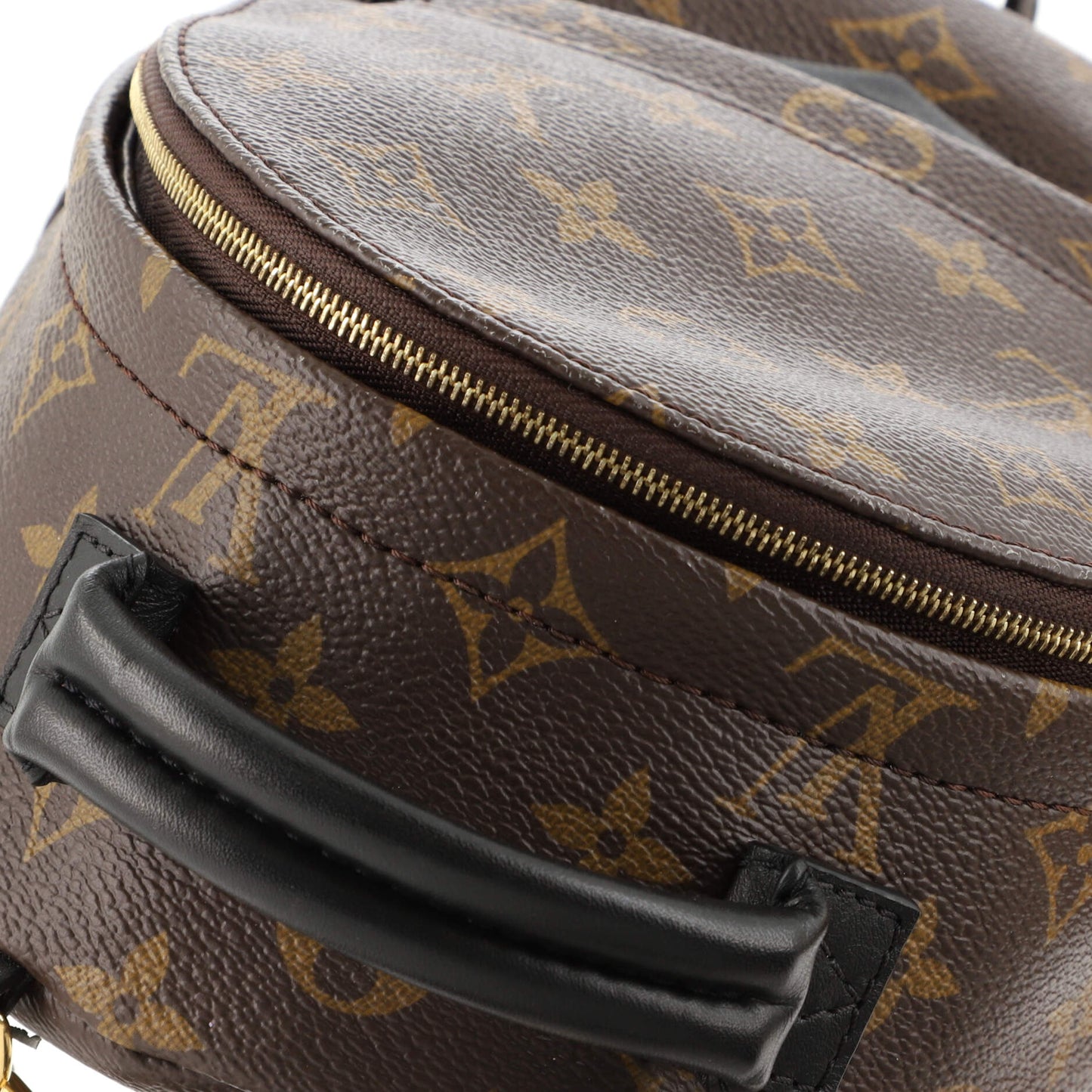 Palm Springs Backpack Monogram Canvas Mini