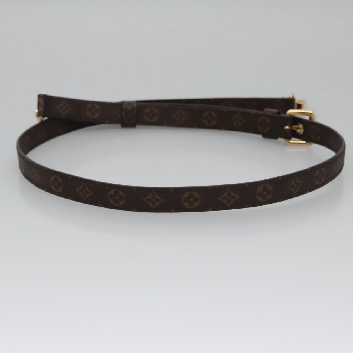 Louis Vuitton Plat Brown Canvas Bag