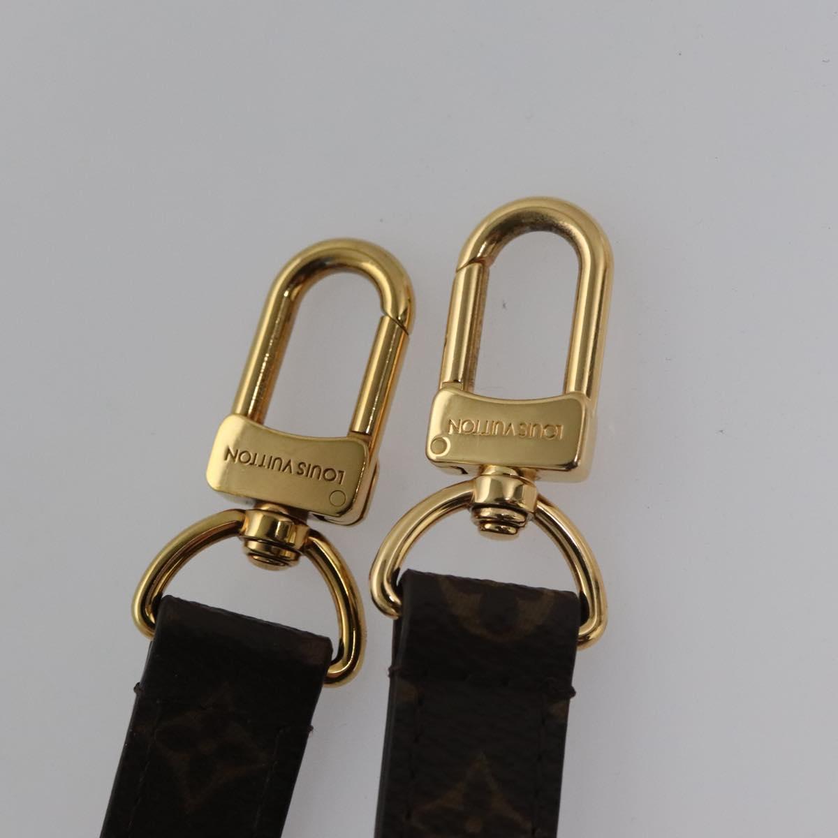 Louis Vuitton Plat Brown Canvas Bag