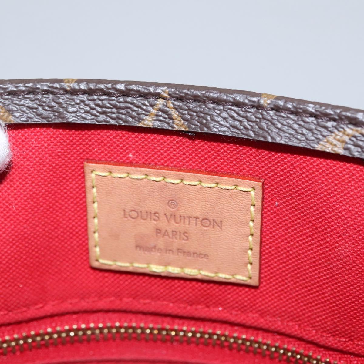 Louis Vuitton Plat Brown Canvas Bag