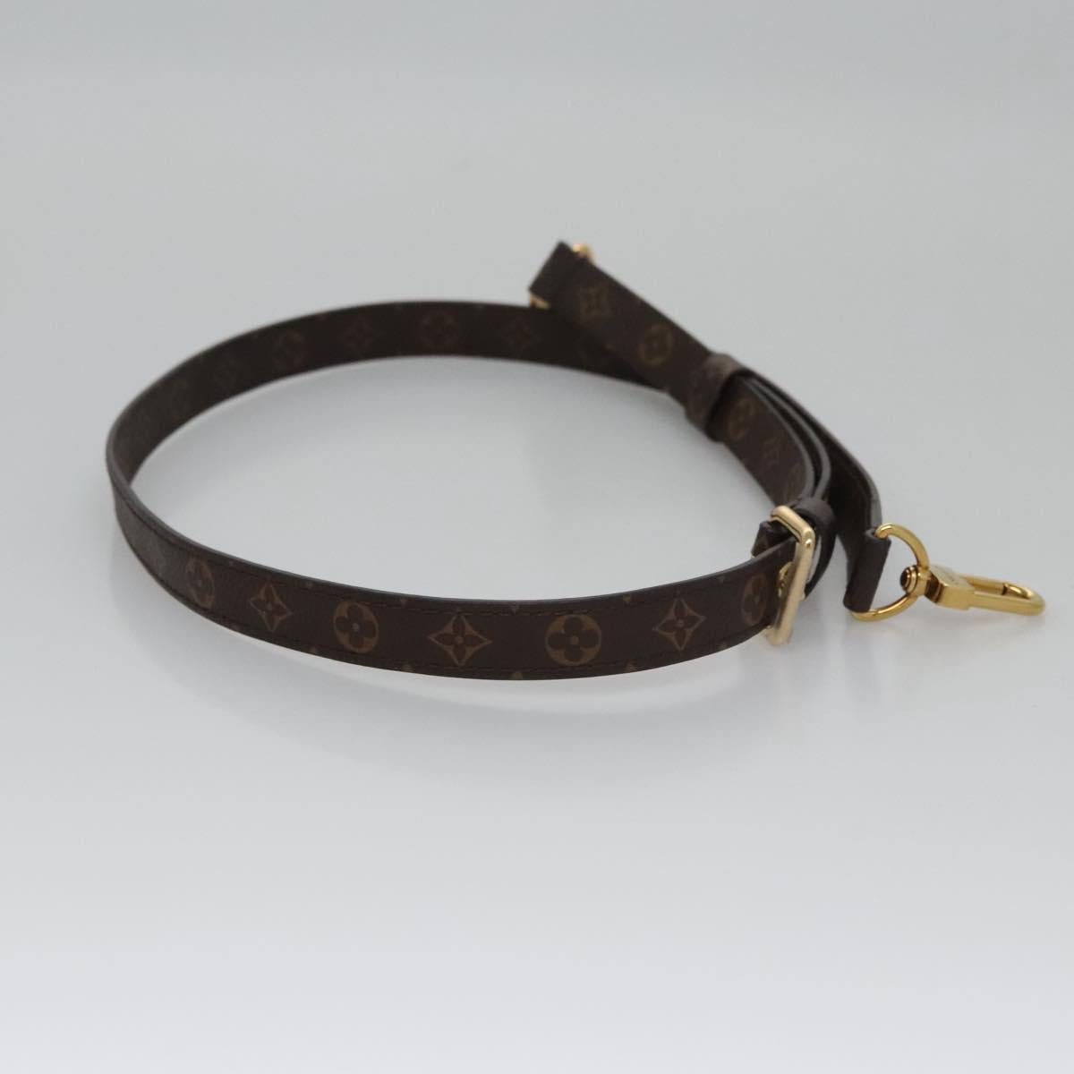 Louis Vuitton Plat Brown Canvas Bag