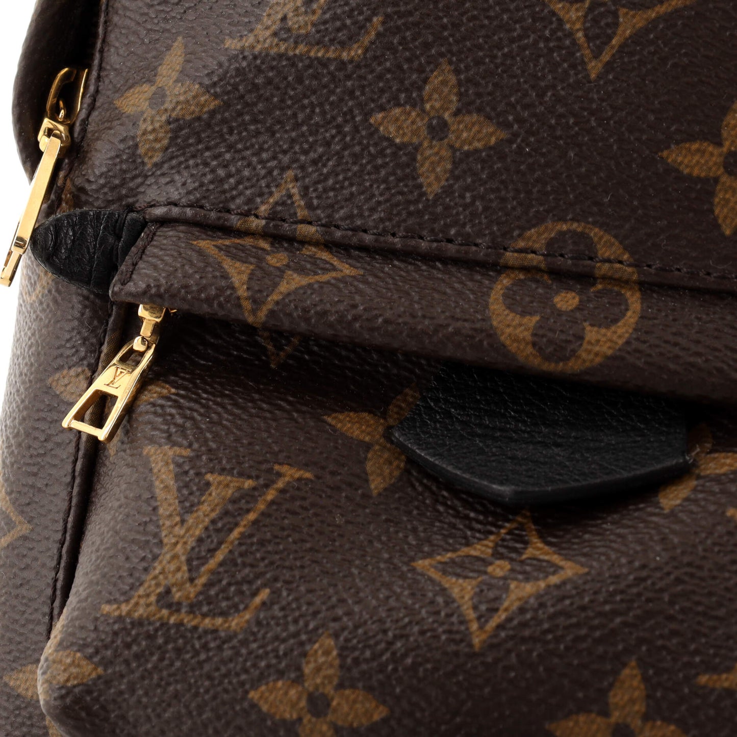 Palm Springs Backpack Monogram Canvas Mini