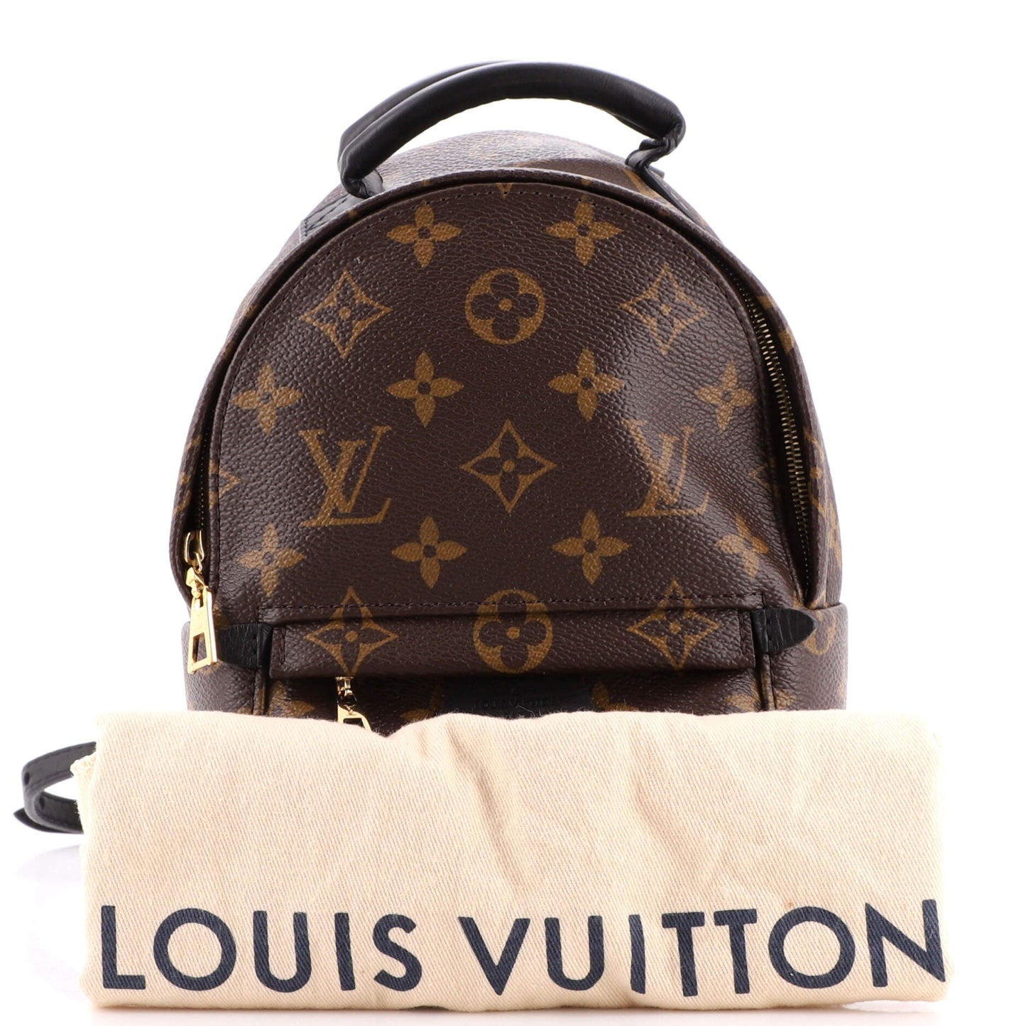 Palm Springs Backpack Monogram Canvas Mini