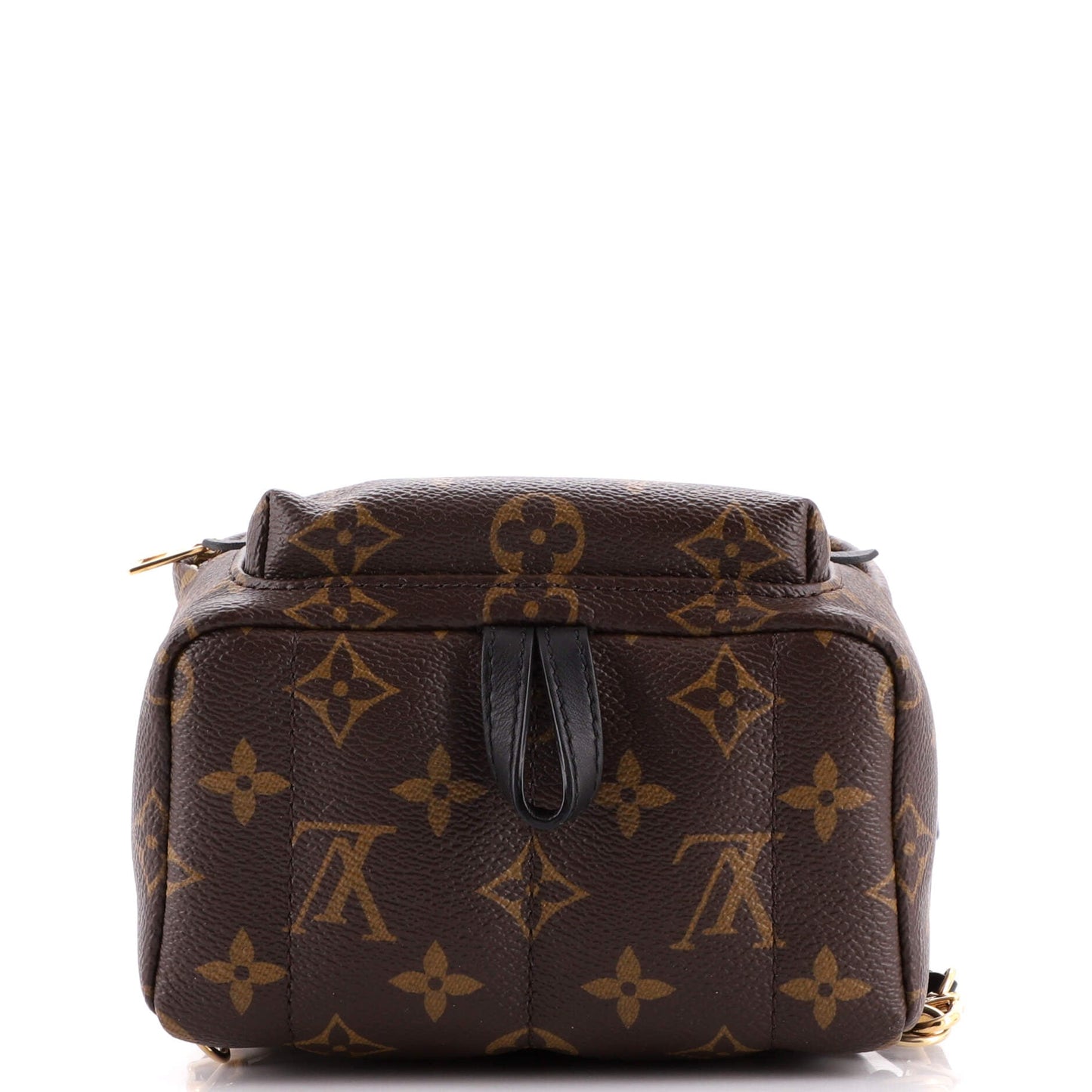 Palm Springs Backpack Monogram Canvas Mini