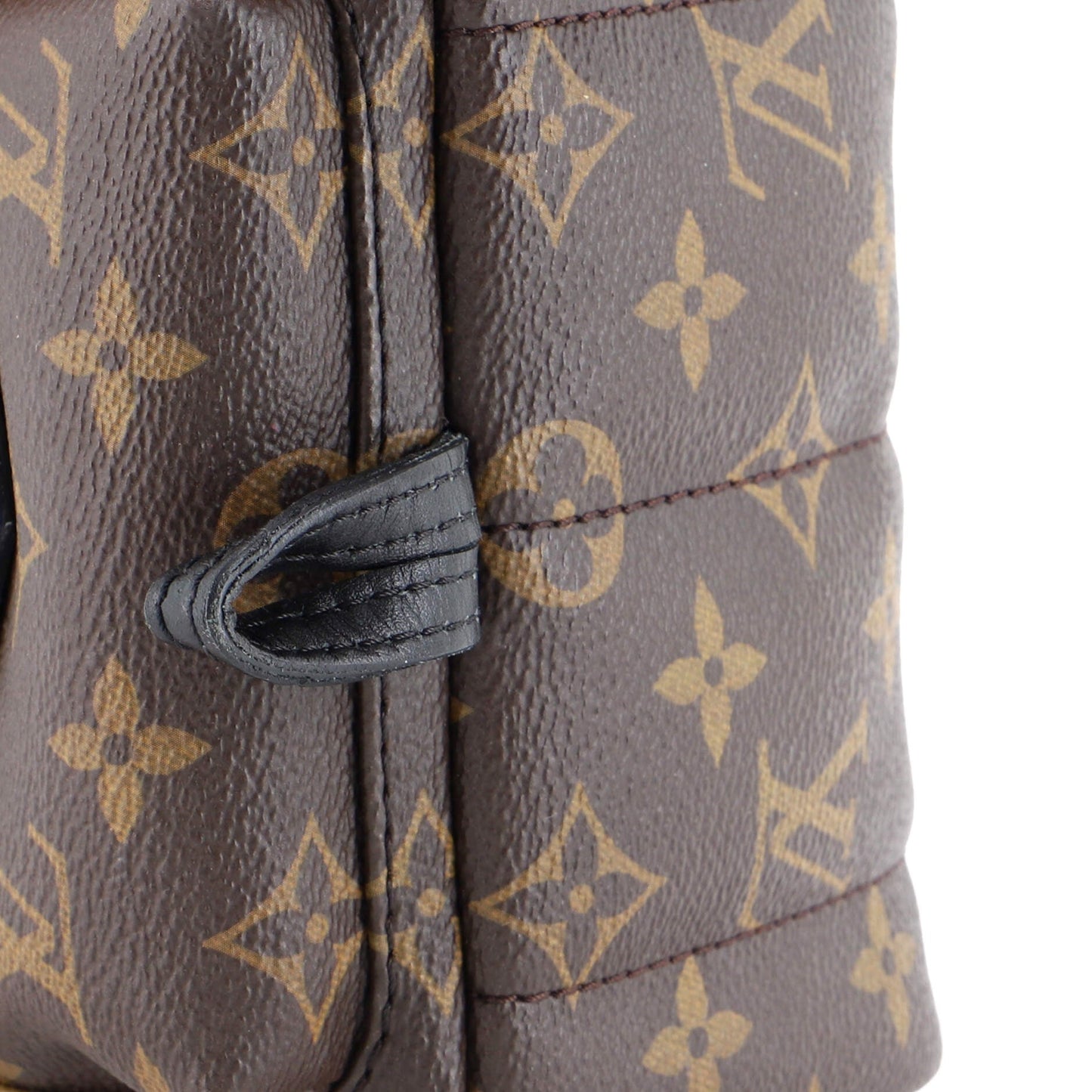 Palm Springs Backpack Monogram Canvas Mini
