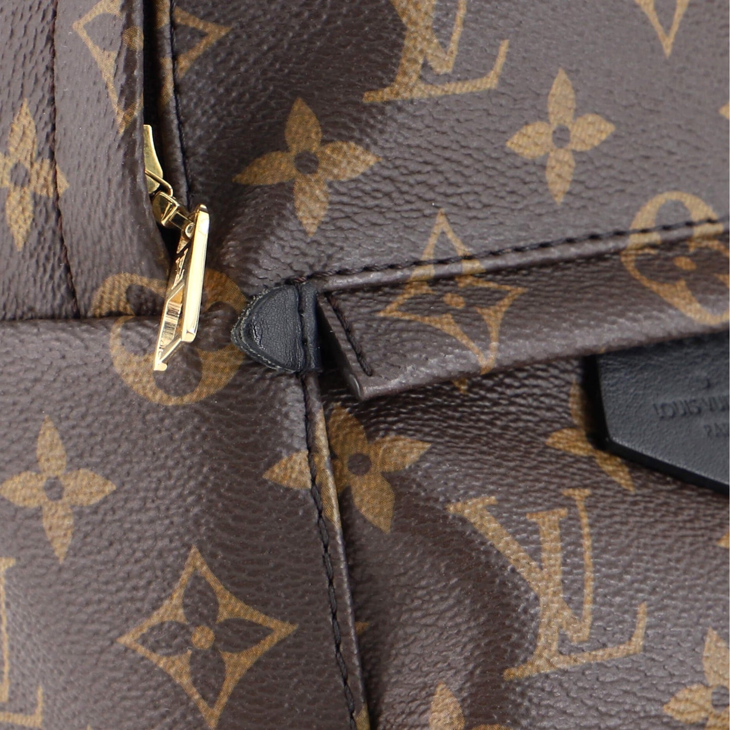 Palm Springs Backpack Monogram Canvas Mini