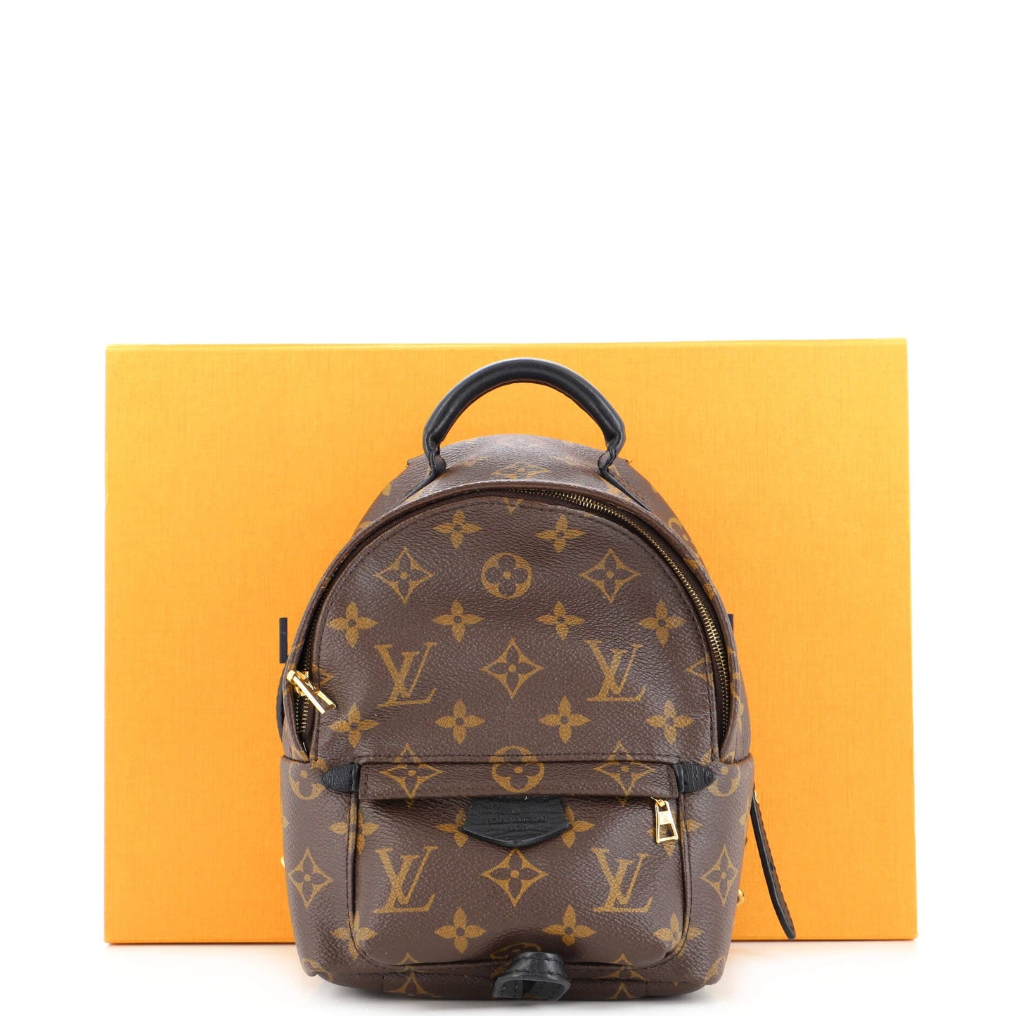 Palm Springs Backpack Monogram Canvas Mini