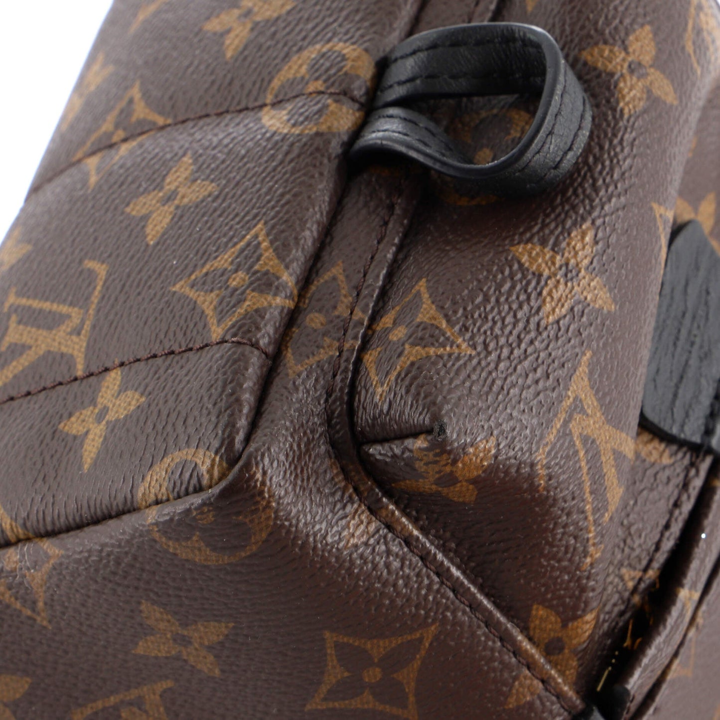 Palm Springs Backpack Monogram Canvas Mini