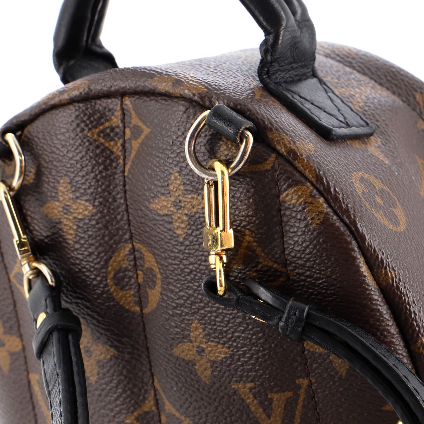 Palm Springs Backpack Monogram Canvas Mini