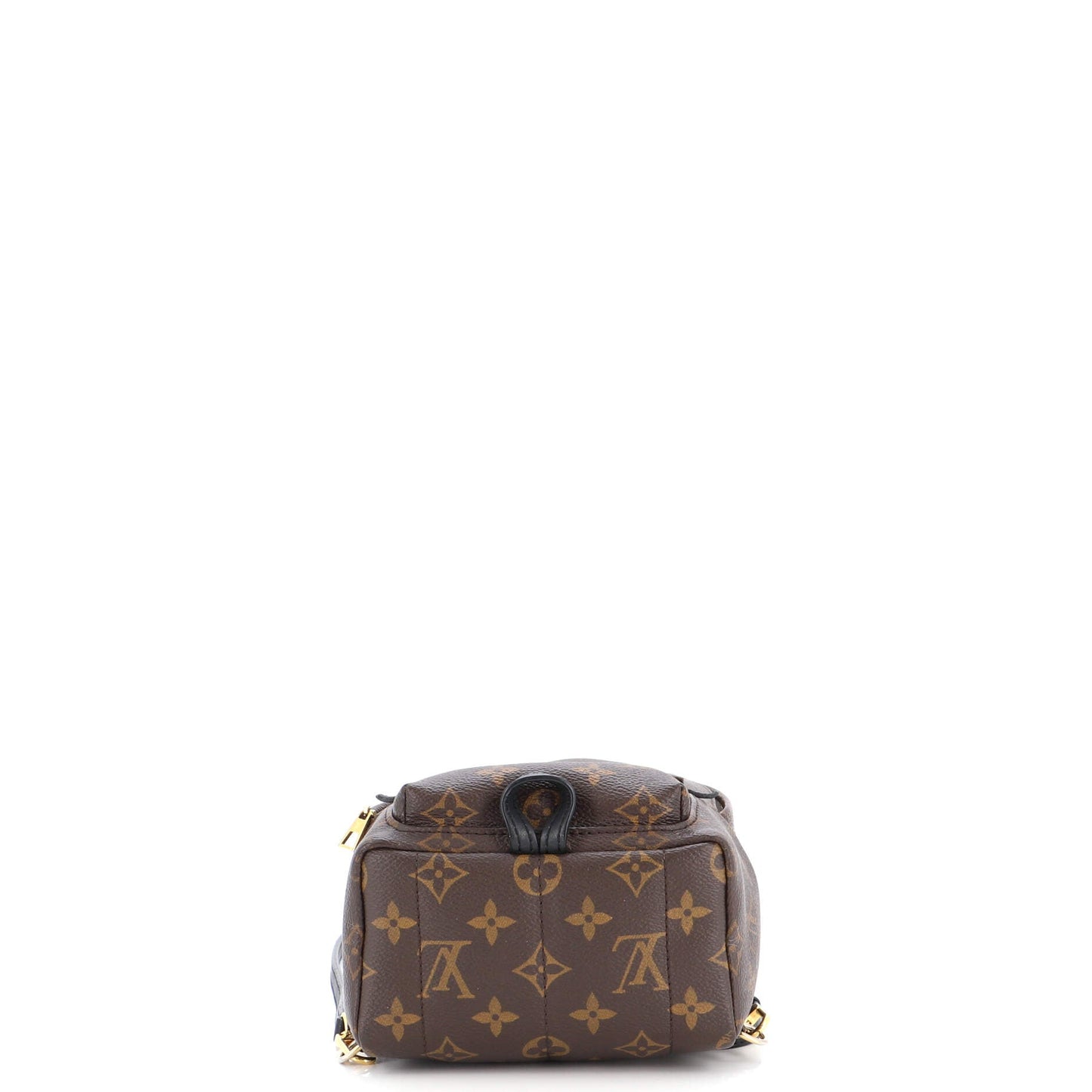 Palm Springs Backpack Monogram Canvas Mini