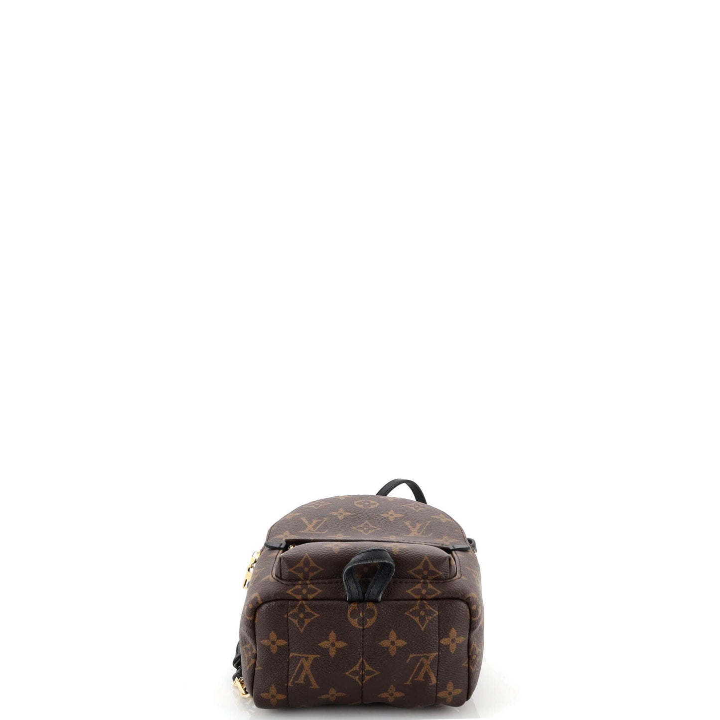 Palm Springs Backpack Monogram Canvas Mini