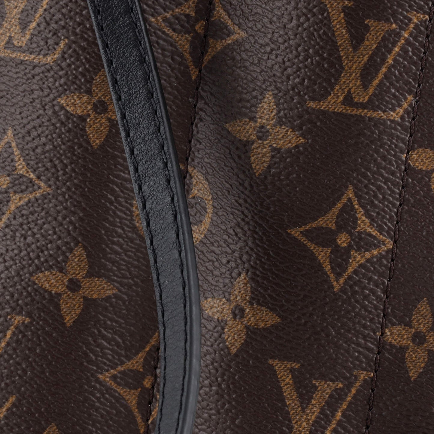 Palm Springs Backpack Monogram Canvas Mini