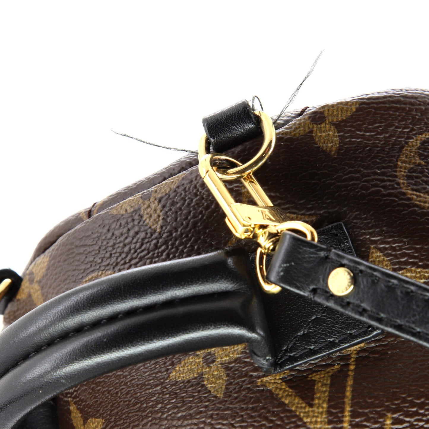 Palm Springs Backpack Monogram Canvas Mini