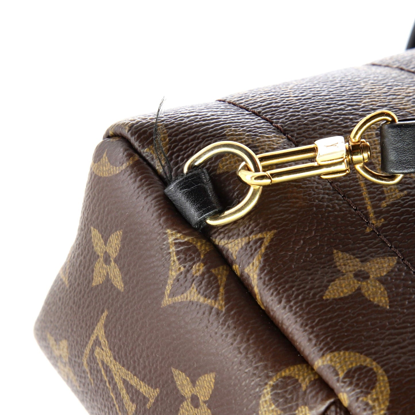 Palm Springs Backpack Monogram Canvas Mini