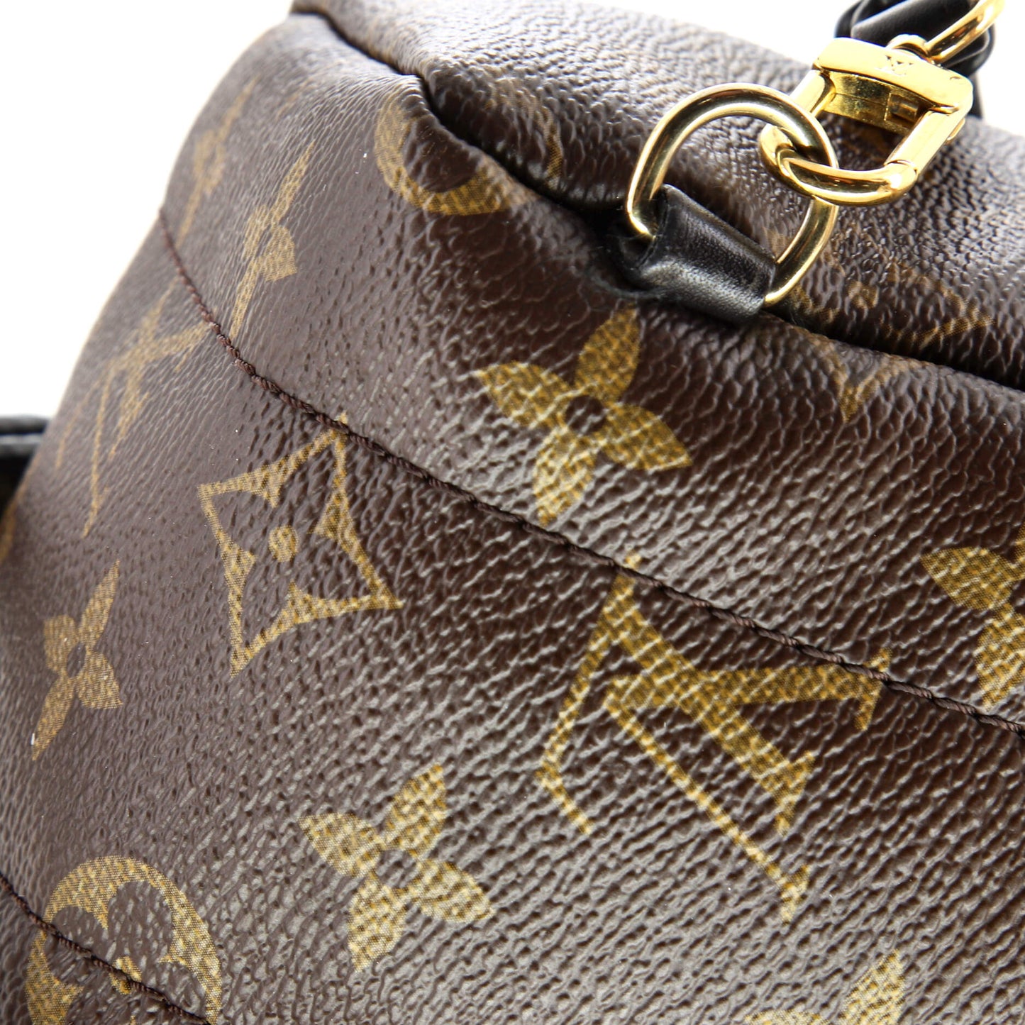 Palm Springs Backpack Monogram Canvas Mini