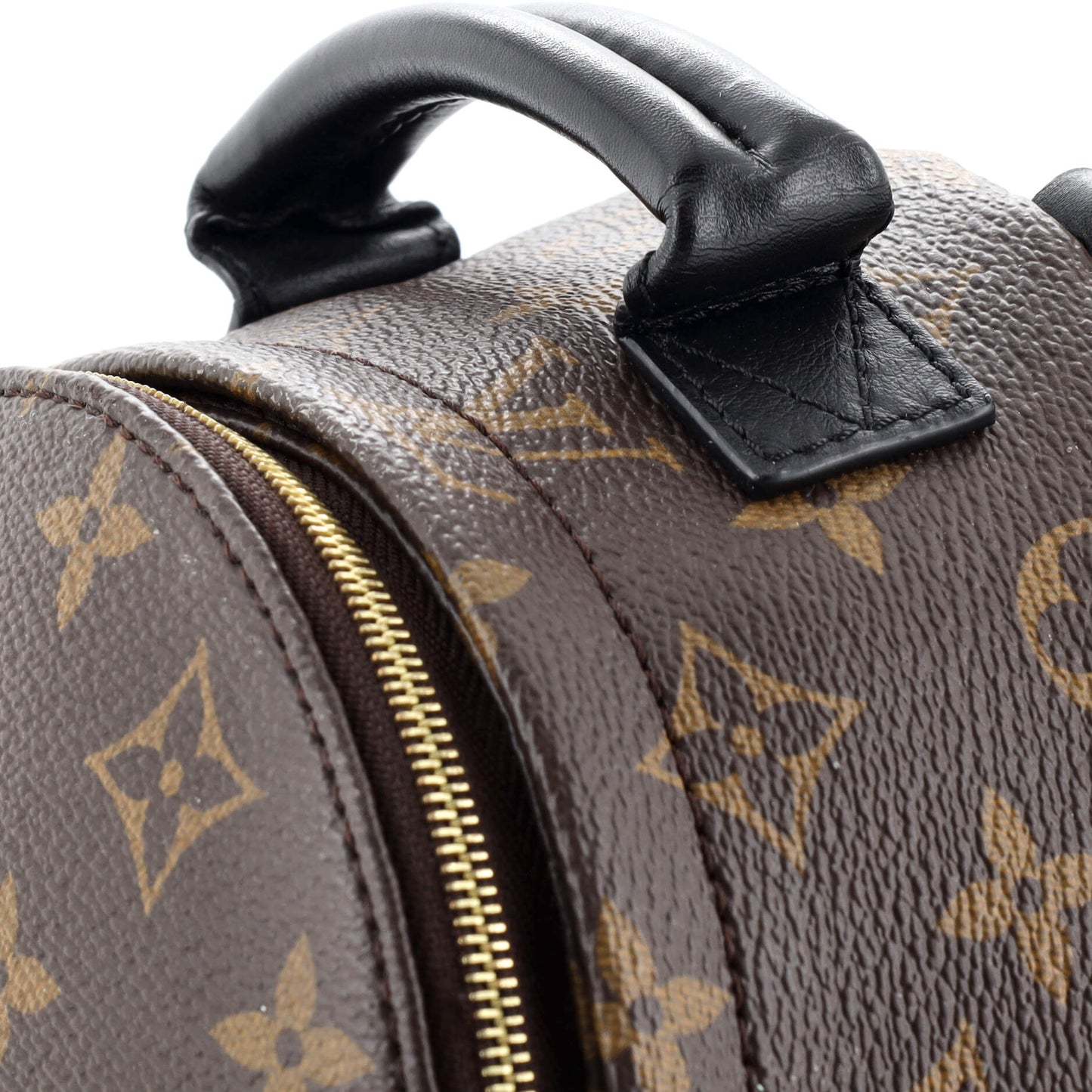 Palm Springs Backpack Monogram Canvas Mini