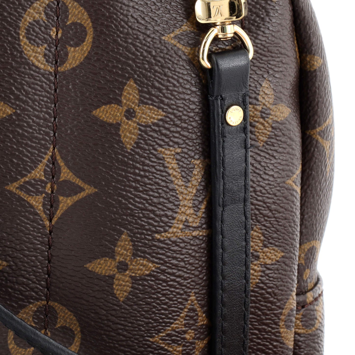 Palm Springs Backpack Monogram Canvas Mini